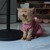 ครอบครัวชอบเที่ยว
