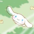 環遊世界小馬鈴薯