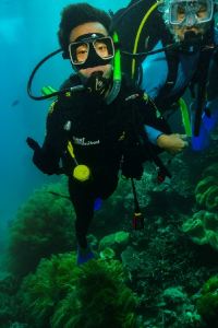 Chisy The Ahern Luxury Boutique Hotel優惠