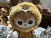 Meowfromhk