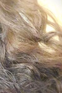 おでこちゃん 天然温泉 羽二重の湯 ドーミーイン福井 クーポン