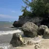 Avatar 1
