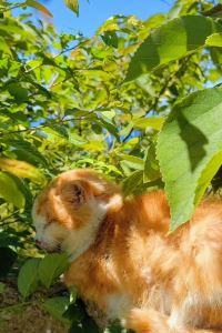 訪客 台北愛玩客酒店優惠