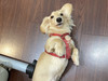 莊仔仔