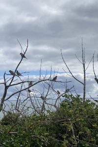 Motchy 京成リッチモンドホテル東京押上 クーポン