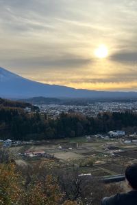 ゲスト 塚越屋七兵衛 クーポン