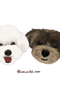 BOBOyoyaha 東橫Inn首爾江南飯店優惠