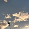 Avatar 3