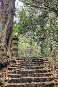 adilau グランドガーデン クーポン