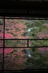 みるくてぃ23 御堂筋ホテル クーポン