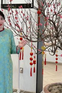 TRANG NGUYEN TA 貝斯特韋斯特精品下龍藍寶石酒店優惠