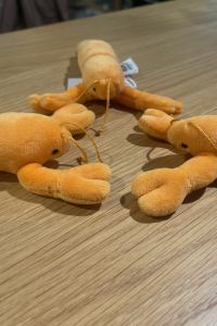 酷莉 新上野飯店優惠