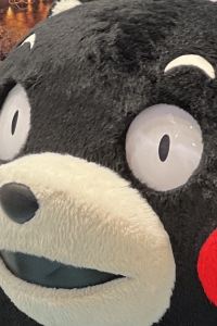 林兆龍 臺中金典飯店優惠