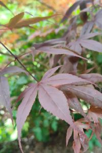 Lavare 柯賓悠活行館優惠