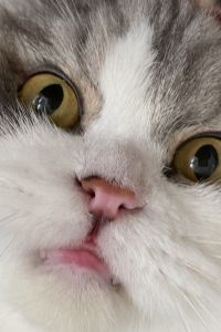 리뷰어