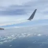 Avatar 1