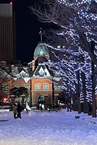 cartemusees ネストホテル札幌大通 クーポン