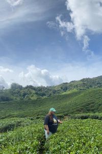 EmmaTravels 吉隆坡M飯店度假村優惠