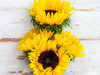 sunflower_smile