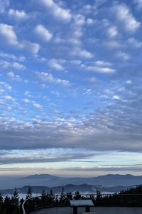 》四處走走》 御宿商旅（高雄站前一館）優惠