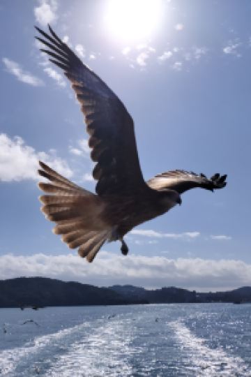 ロイムー 草津温泉 大東舘 クーポン