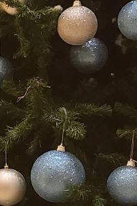 Jinny1 哈瓦那芽莊優惠