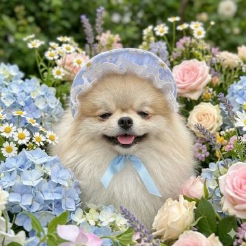 트립닷컴 회원