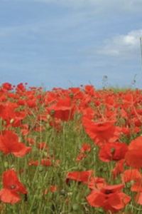 imaldary 艾克斯普羅旺斯奧德利城市克洛斯德拉沙特勒斯公寓式酒店優惠