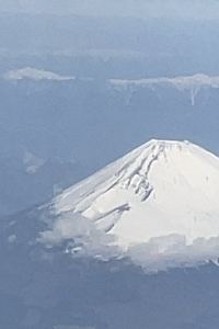 megu520 上海海神諾富特大酒店優惠