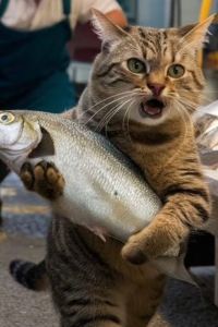 訪客用戶 巴黎戴高樂機場中央萬怡飯店優惠