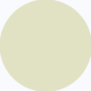user-icon