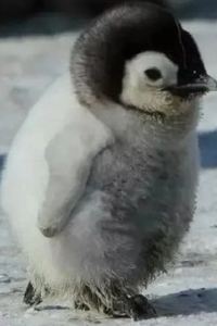 LaLaqua777 台北東皇渡假旅店優惠