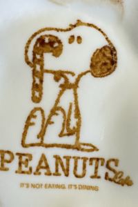 スヌーピー555 天然温泉 スーパーホテルPremierさいたま・大宮駅東口 クーポン