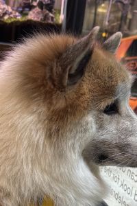 Rattichx 香港恆豐飯店優惠