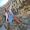 Masha_letaet