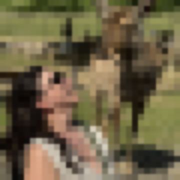 Elen_dream