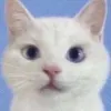 Avatar 2
