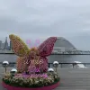 Avatar 2