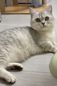 矮冬瓜 絶景の宿　さくら亭 クーポン