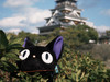 Bibiさん