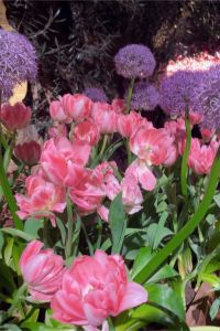 桃子小姐 花蓮Fun House文旅民宿優惠