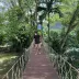 ชนินทร์ Koko