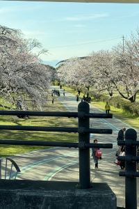 WONG JACKO 秋葉原梅茲JR東飯店優惠