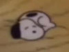 Potatoooo