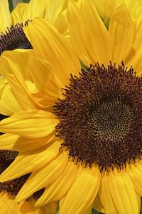 mis@o ヴィラフォンテーヌグランド東京汐留 クーポン