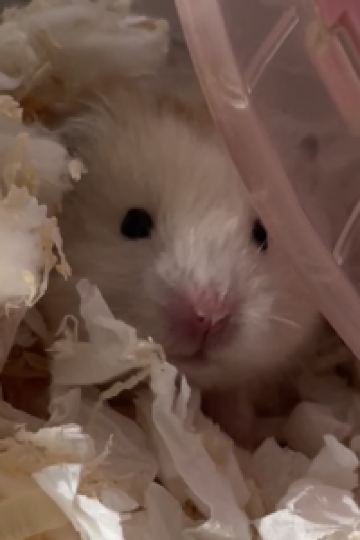 zyinggg JR西日本グループ ヴィアイン心斎橋四ツ橋 クーポン