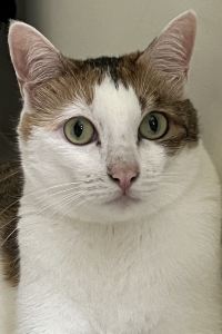 Dean0958 華園大飯店草衙館優惠