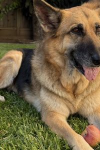 Sinclair Hsu 香港旺角帝盛飯店優惠