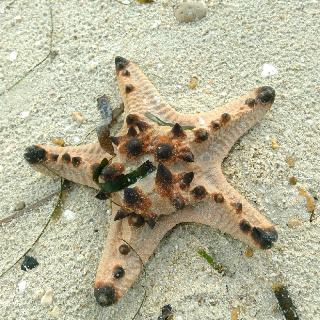 Royal Malaysian Air Force Museum travel guidebook u2013must visit 