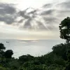 Avatar 3